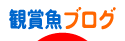 にほんブログ村