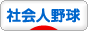 にほんブログ村 野球ブログ 社会人野球へ