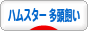 にほんブログ村 ハムスターブログ ハムスター 多頭飼いへ