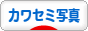 にほんブログ村 写真ブログ カワセミ写真へ