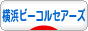 ɂقuO ̑X|[cuO lr[R